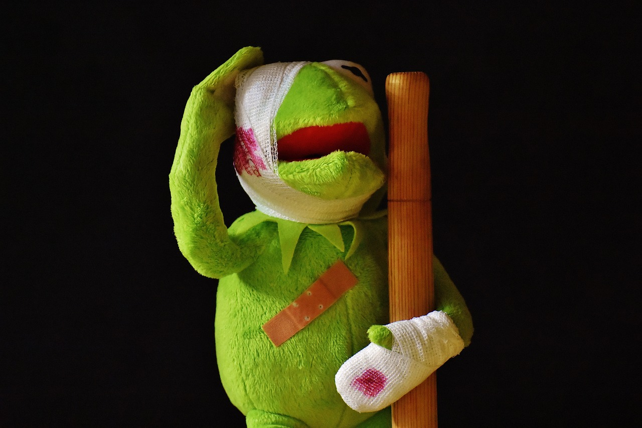 kermit-2001219_1280