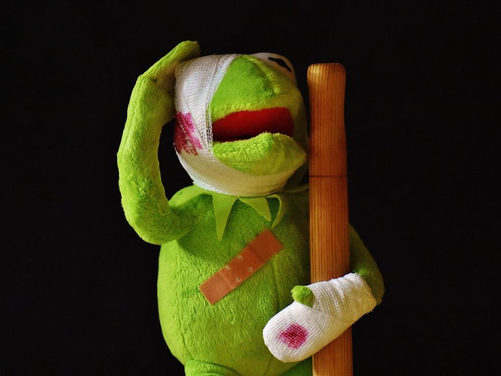 kermit-2001219_1280